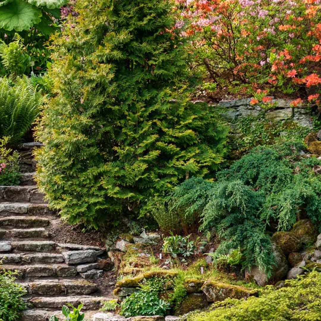 Cómo diseñar un jardín en un terreno con pendiente