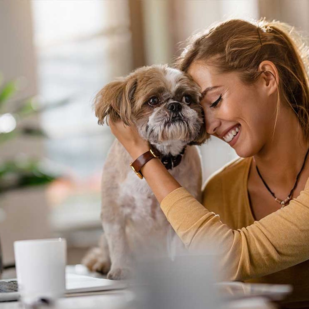 ¿No puedes despegarte de tu mascota? Podrías sufrir petofilia