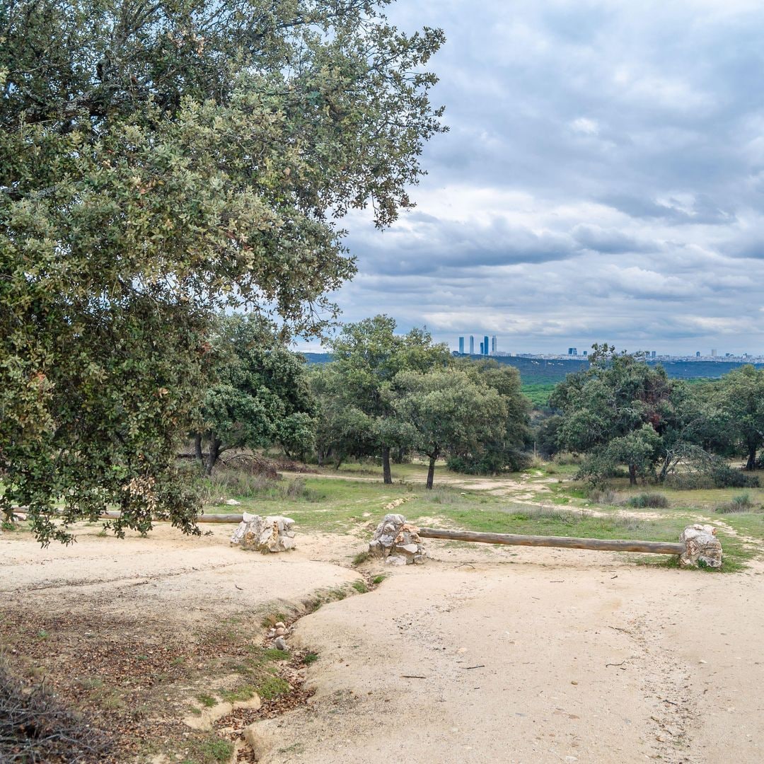 Madrid visto desde el monte de El Pardo