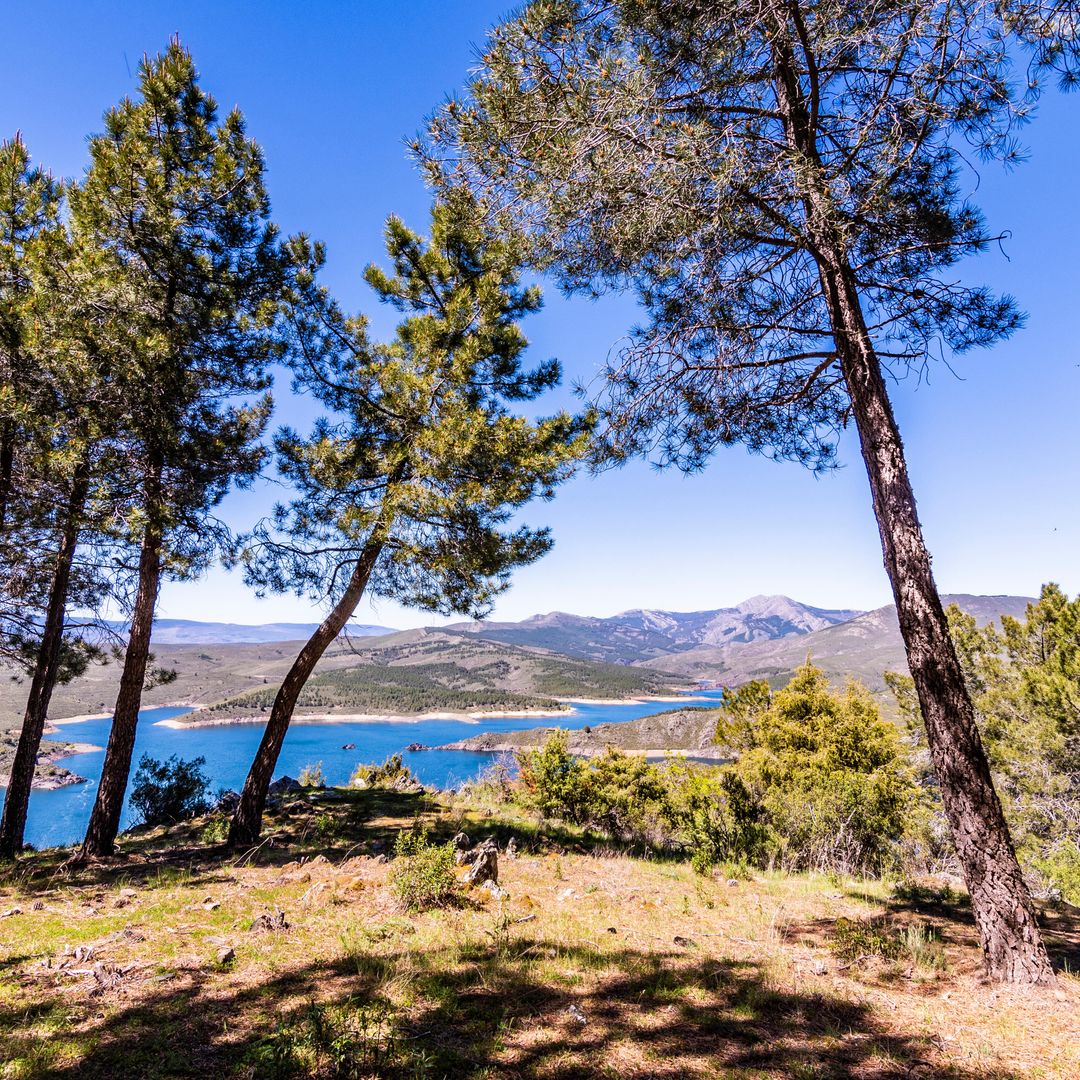 La carretera panorámica M-133 une Torrelaguna con el pueblo de El Atazar