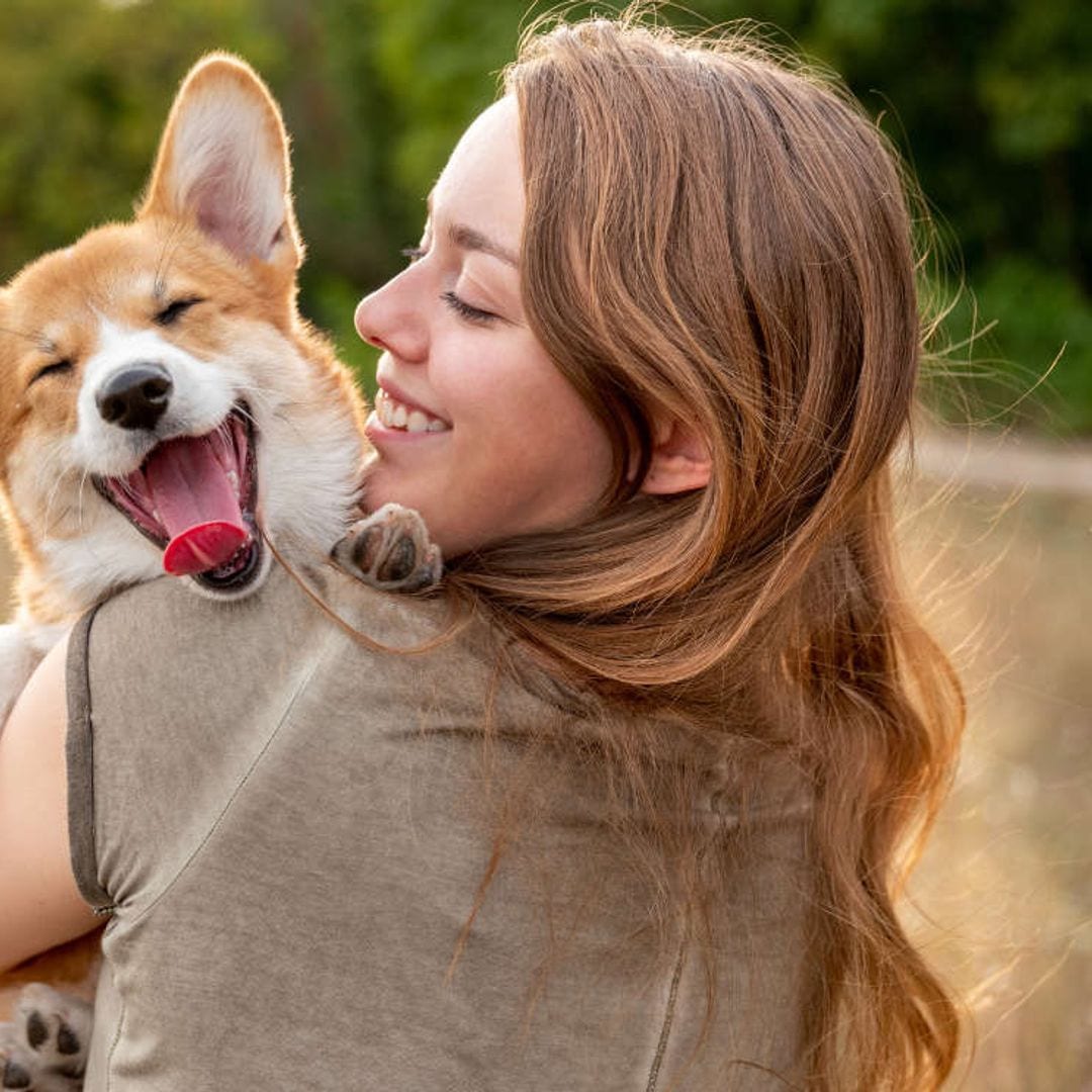 Todo lo que debes saber sobre la nueva Ley de Bienestar Animal antes de que entre en vigor