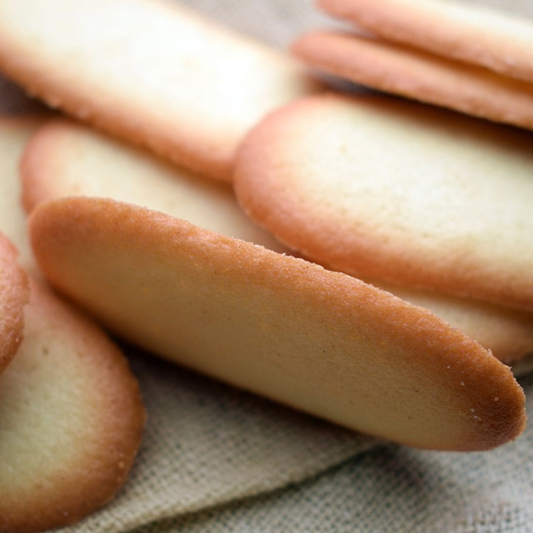 Lenguas de gato superfáciles, ligeras y delicadas