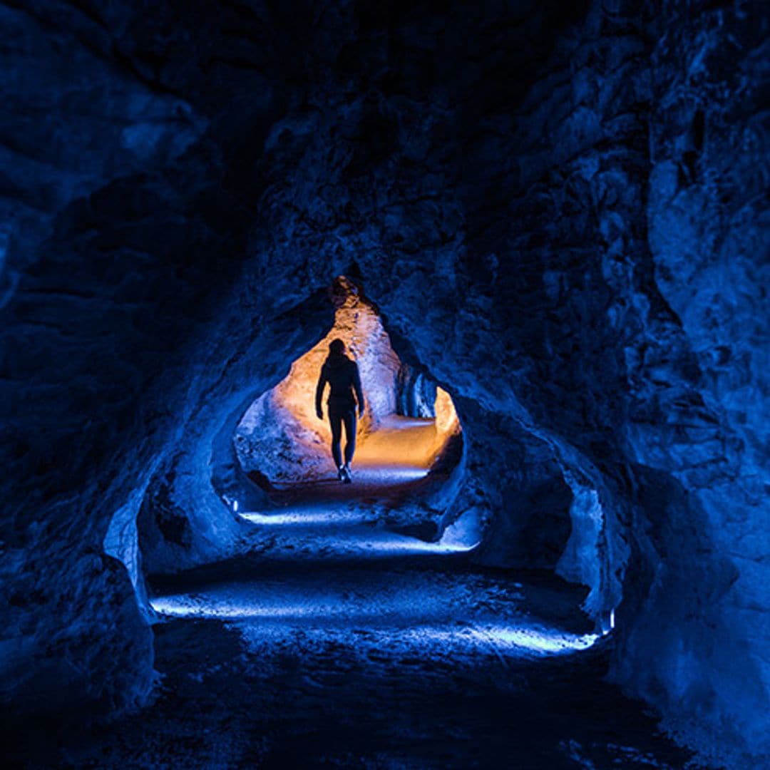 La alucinante cueva de los gusanos de luz