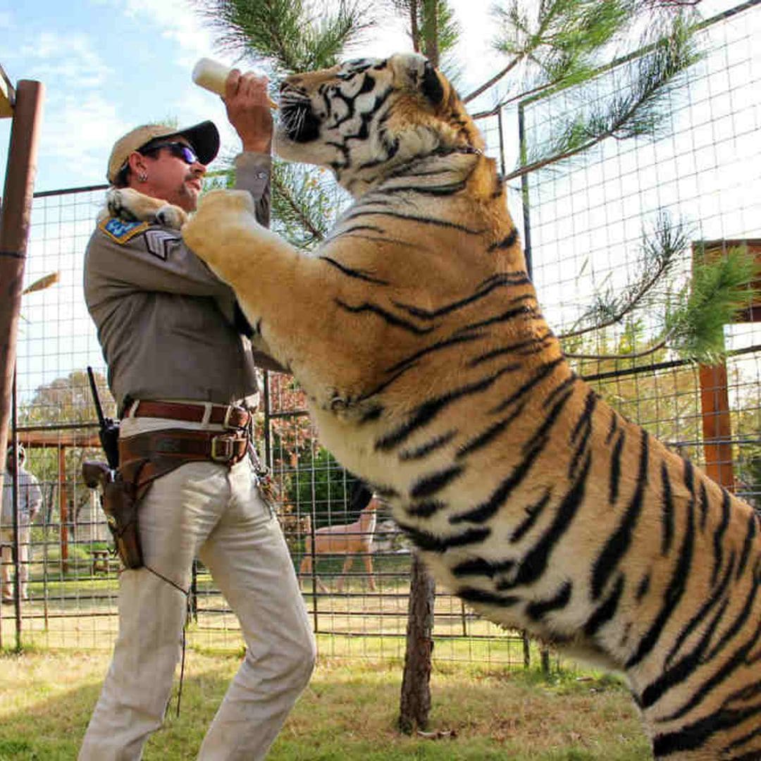 ¿Has oído hablar de 'Tiger King'? El extraño éxito de la docuserie sobre zoos privados