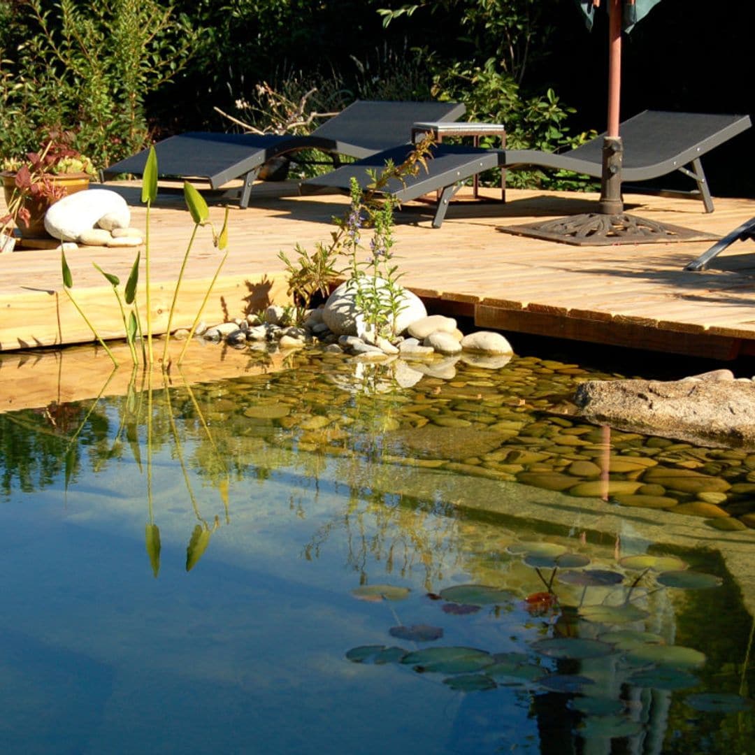 Te descubrimos las ventajas de apostar por una piscina naturalizada