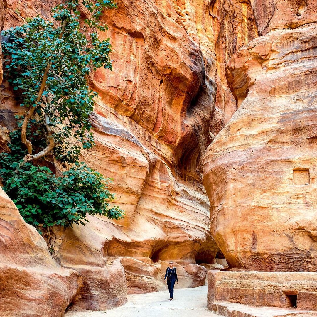 Petra: al ‘tesoro’ por la puerta de atrás