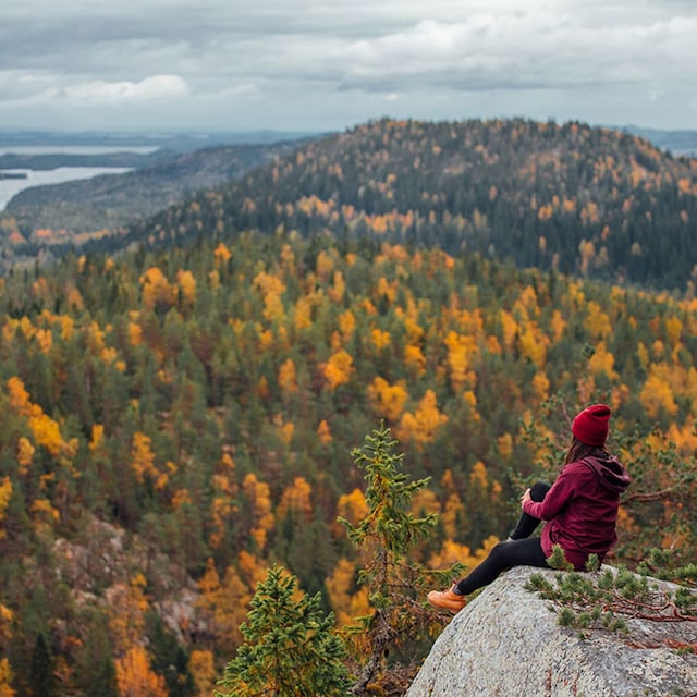 kolinationalparkautumnlakelandjuliakivela