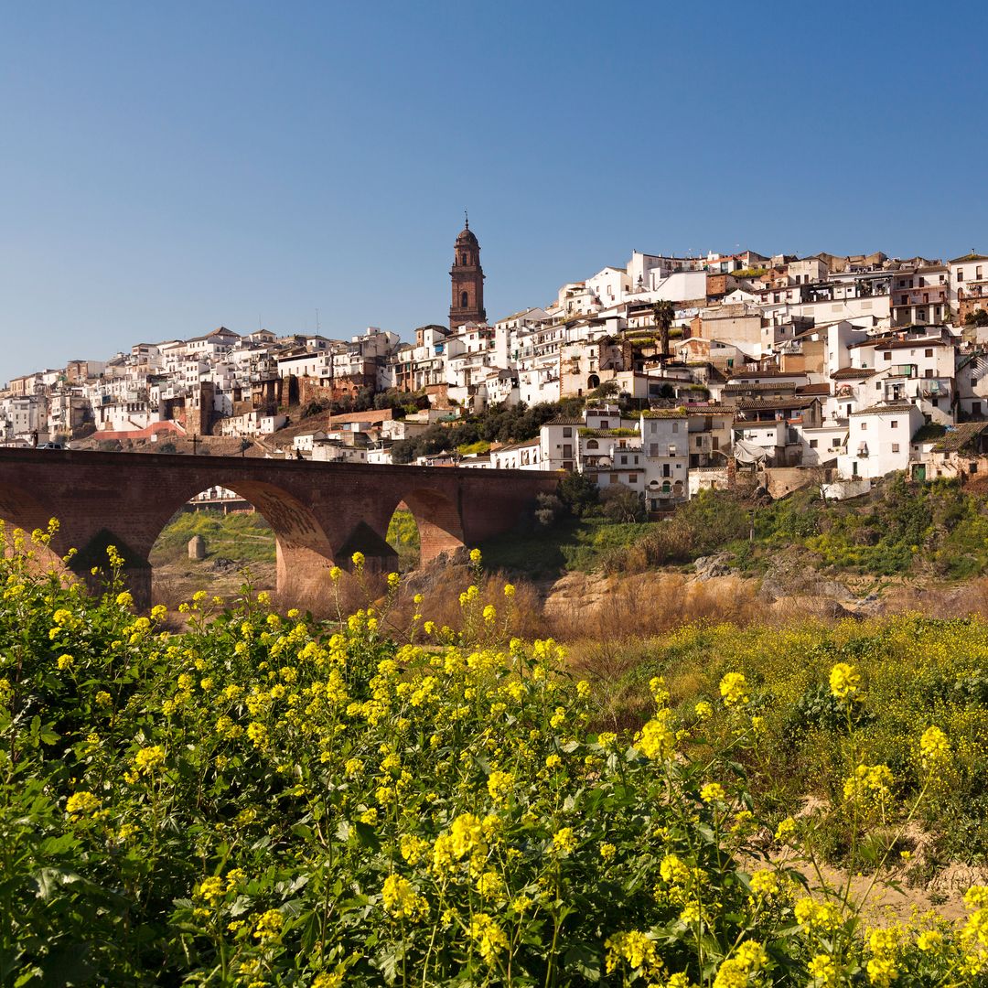 Puente de las Donadas y villa de Montoro, Córdoba