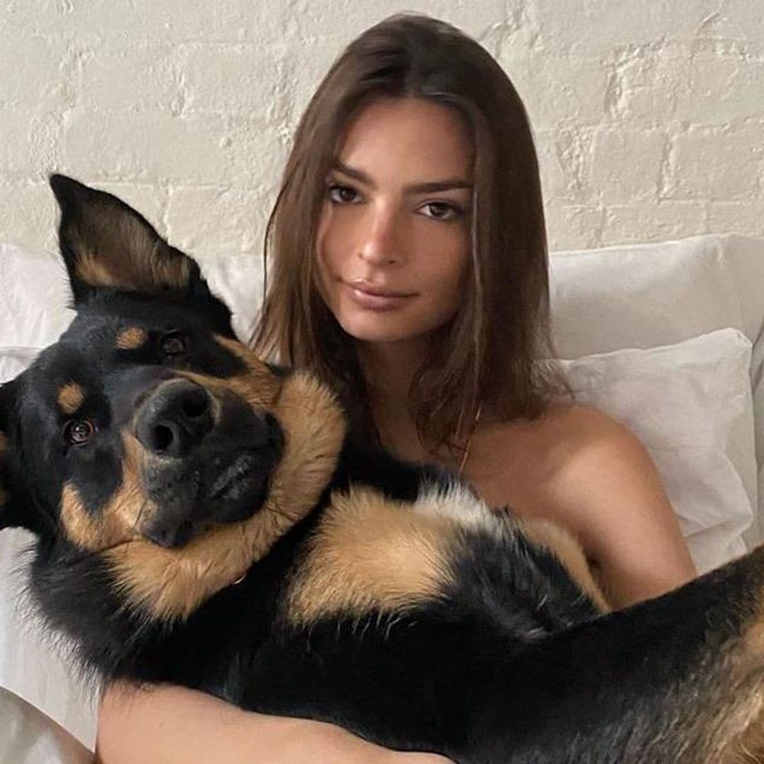 Emily Ratajkowski pasa momentos de angustia al buscar a su perrito desaparecido