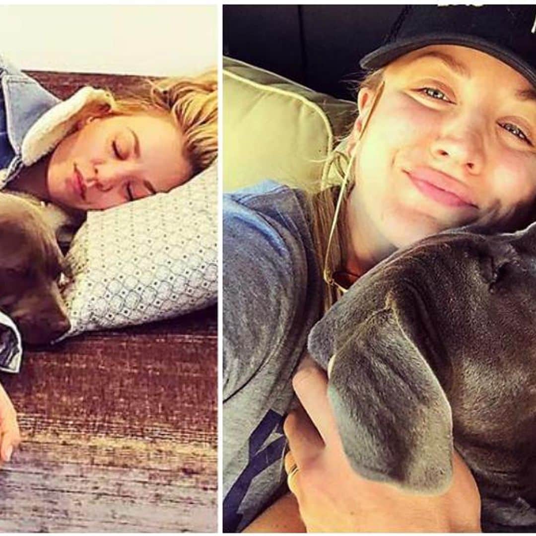 Kaley Cuoco presume sus fotos más tiernas junto a sus mascotas