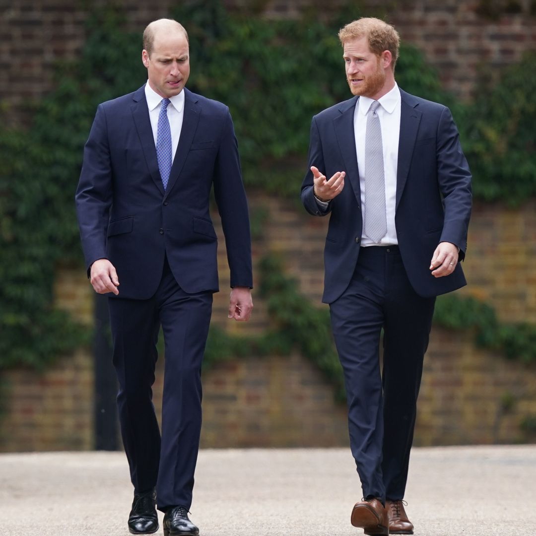 Los príncipes Guillermo y Harry se llevan su rivalidad al cambio climático