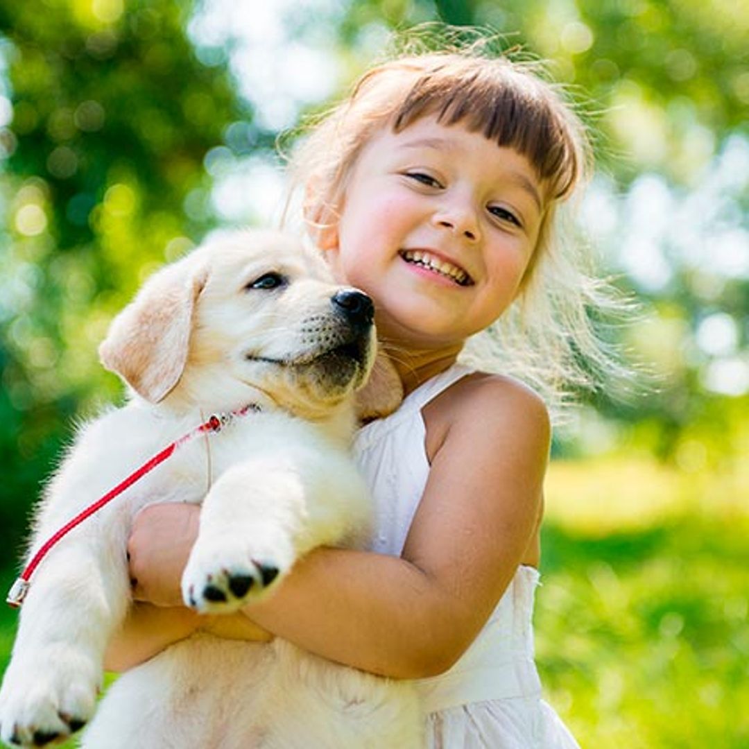 Ya puedes despedirte de la alergia a los animales