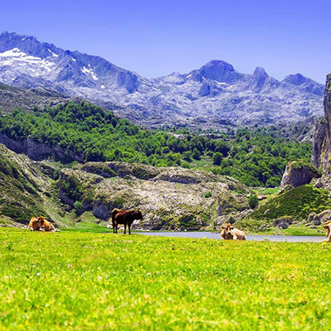 Covadonga, un destino ideal para escaparse a Asturias