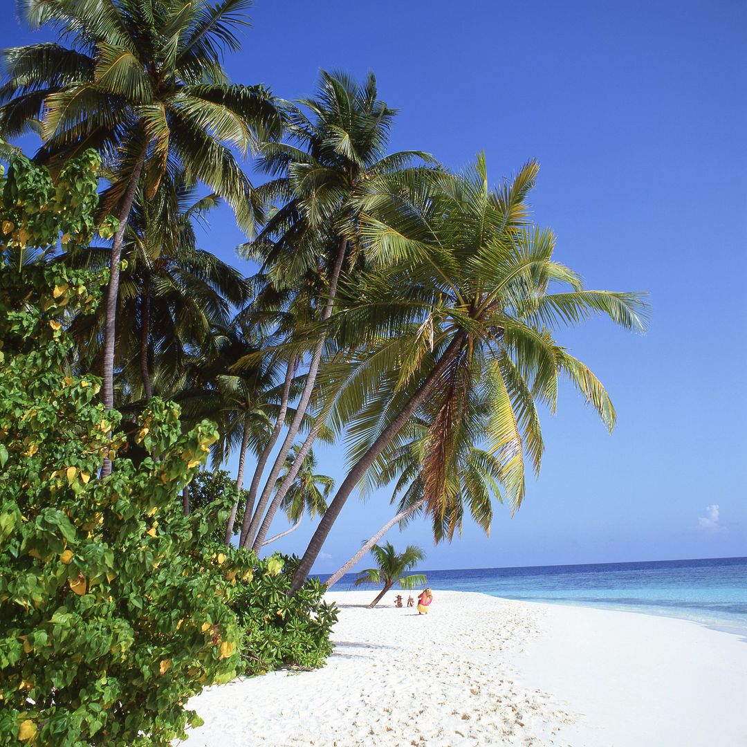 Playa tropical de Kuda Bandos, isla Bandos, Maldivas