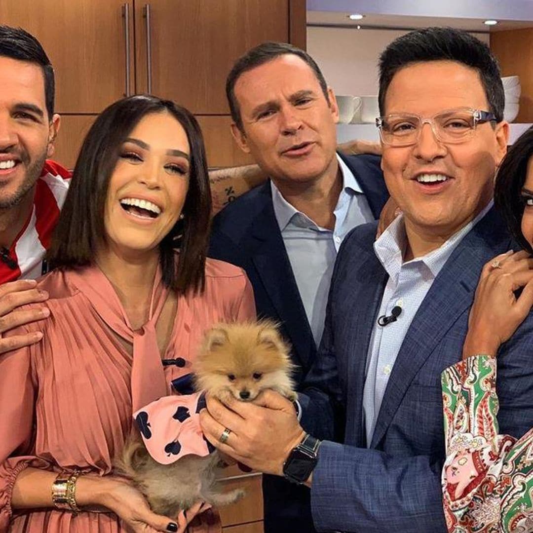 Elenco y staff de ‘Despierta América’ en cuarentena; uno de los presentadores dio positivo a COVID-19