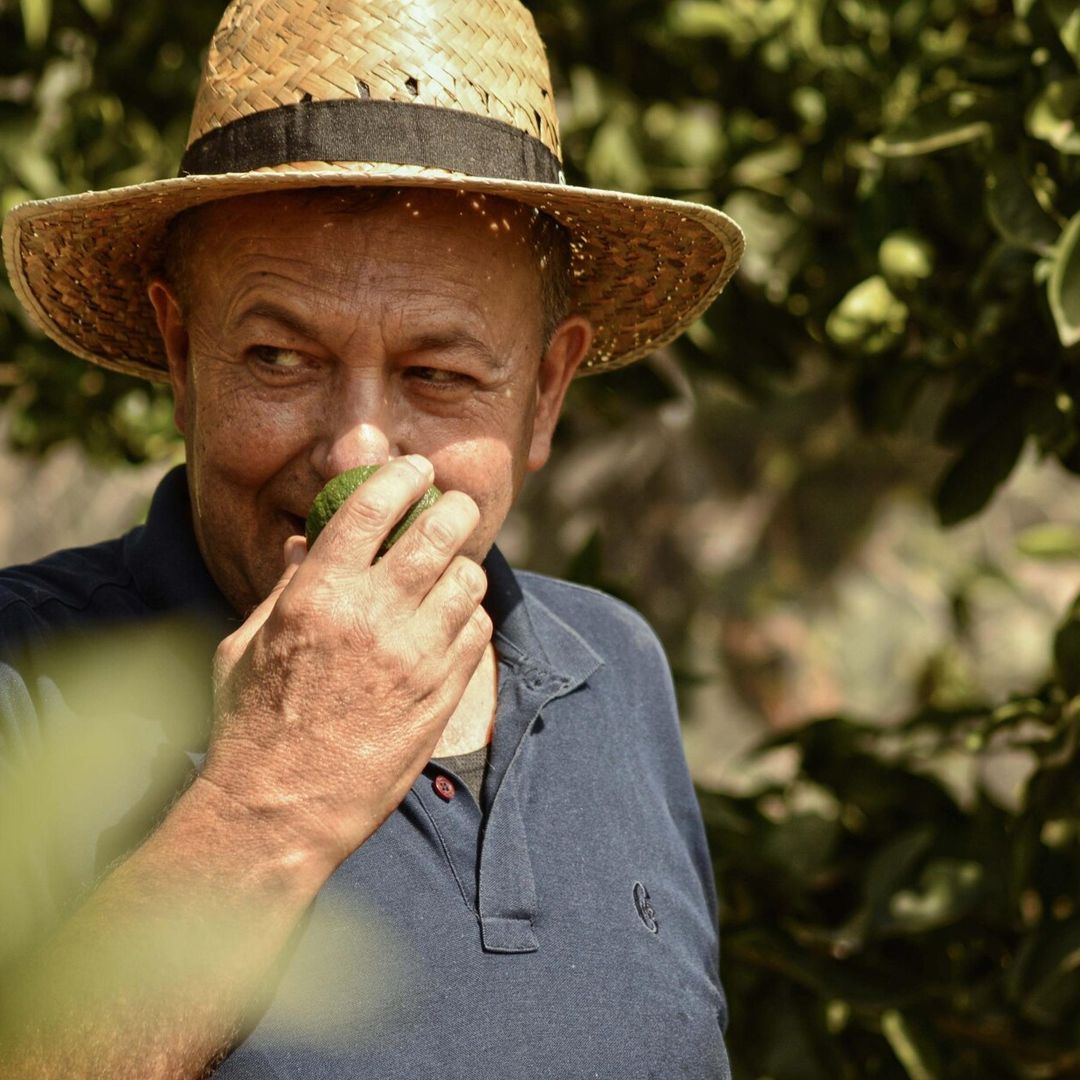 Vicente Todolí: la felicidad entre limones