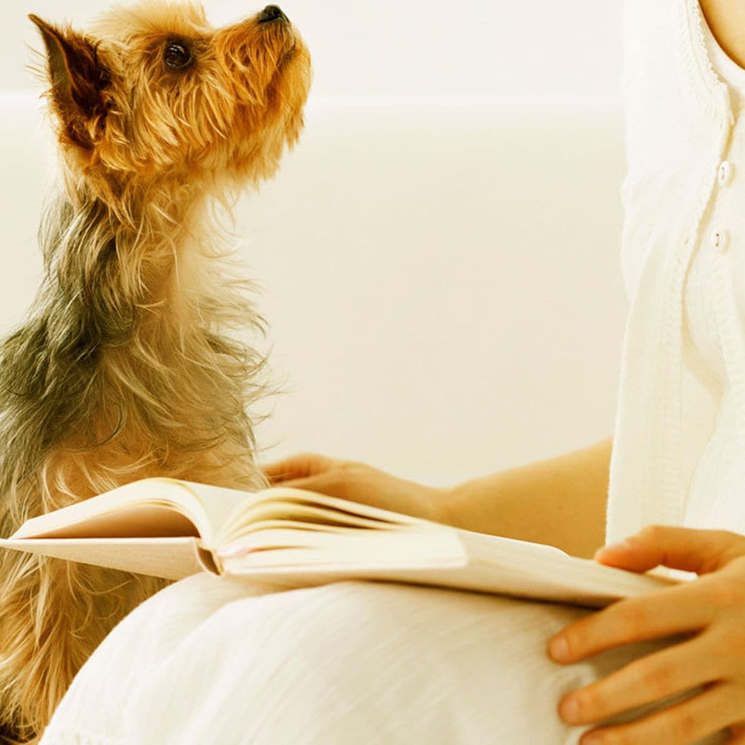 Si amas a tu perro, amarás estos libros imprescindibles