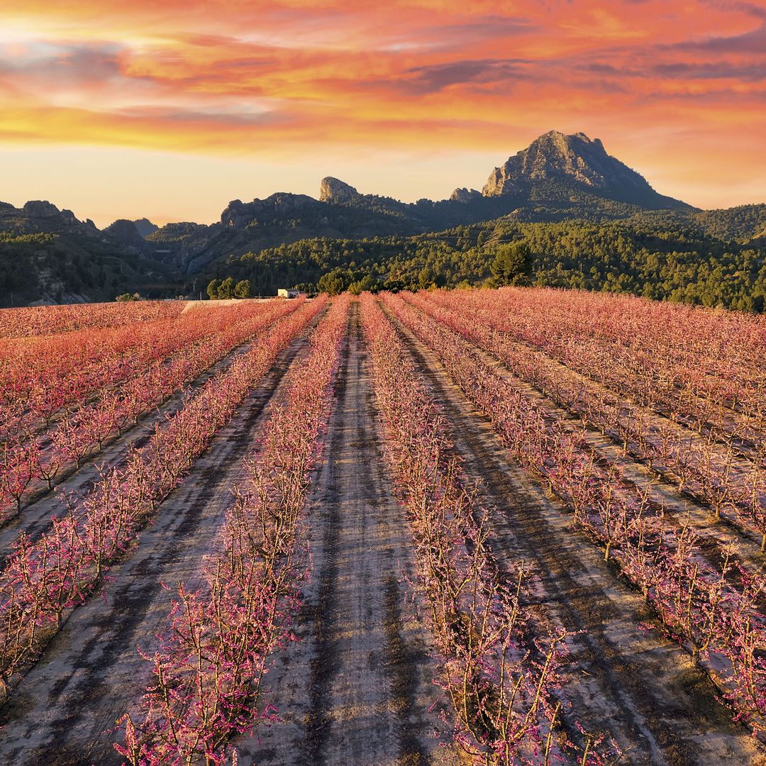 Ganas de primavera: 5 escapadas para los fines de semana de marzo