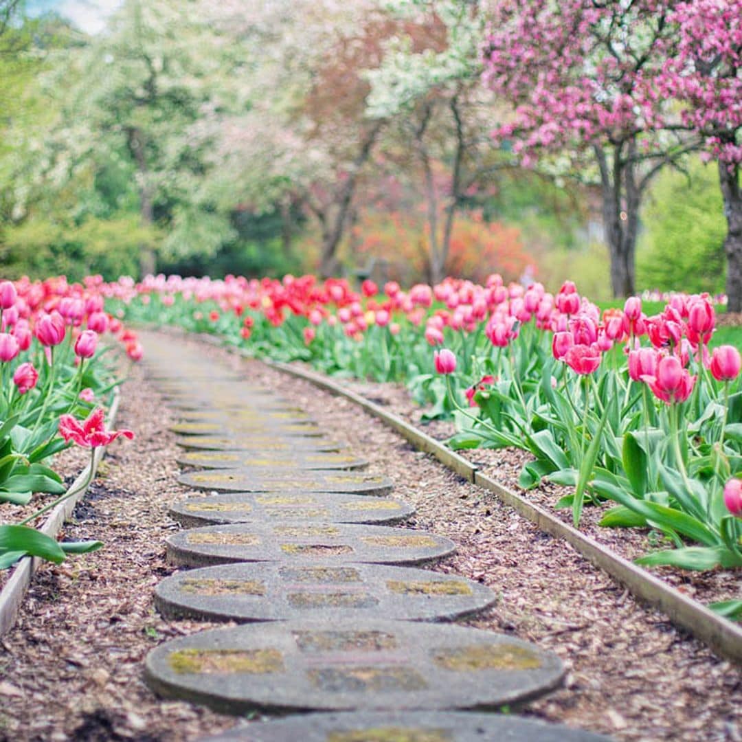 Tareas imprescindibles para poner a punto el jardín de cara a la primavera