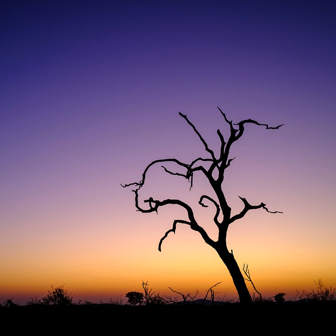 Atardecer en la Reserva Natural Madikwe, Sudáfrica