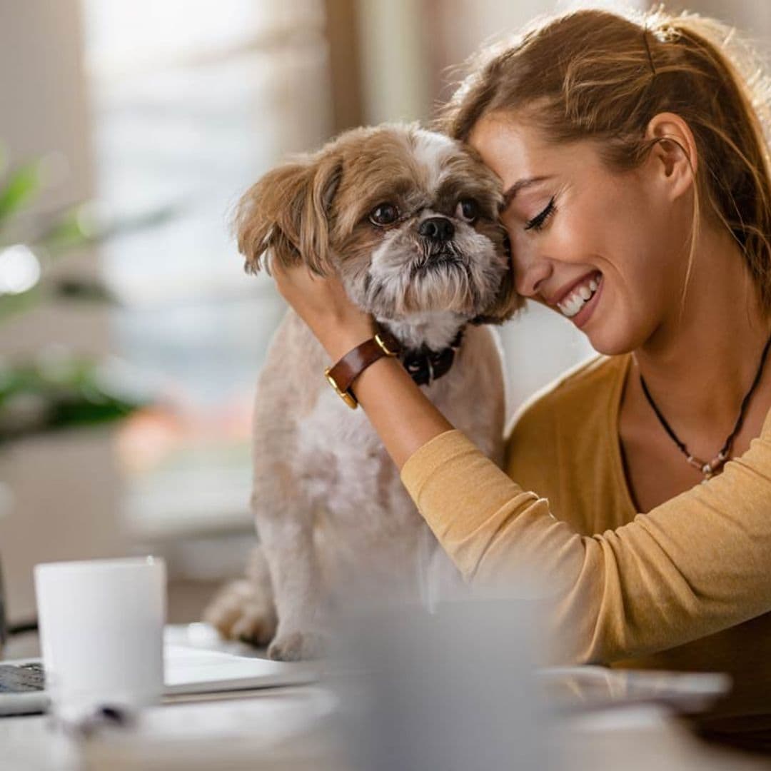 ¿Con qué tipo de mascota haces 'match'?