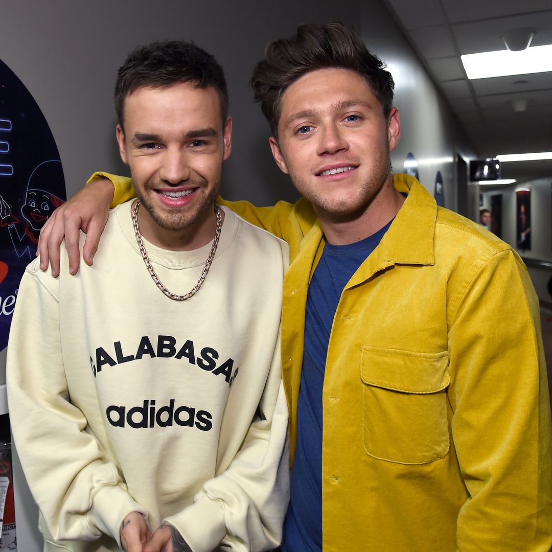 Niall Horan, el último 'One Direction' en ver con vida a Liam Payne, está devastado