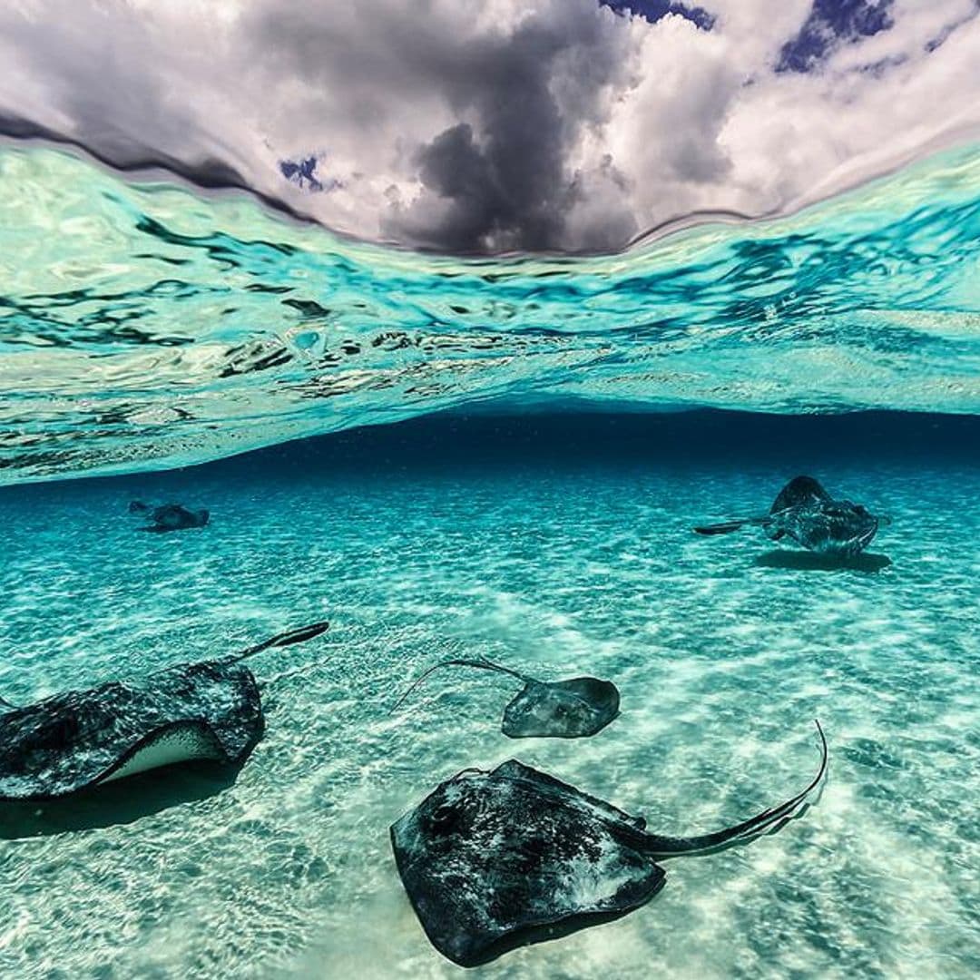 El paraíso desconocido bajo el mar