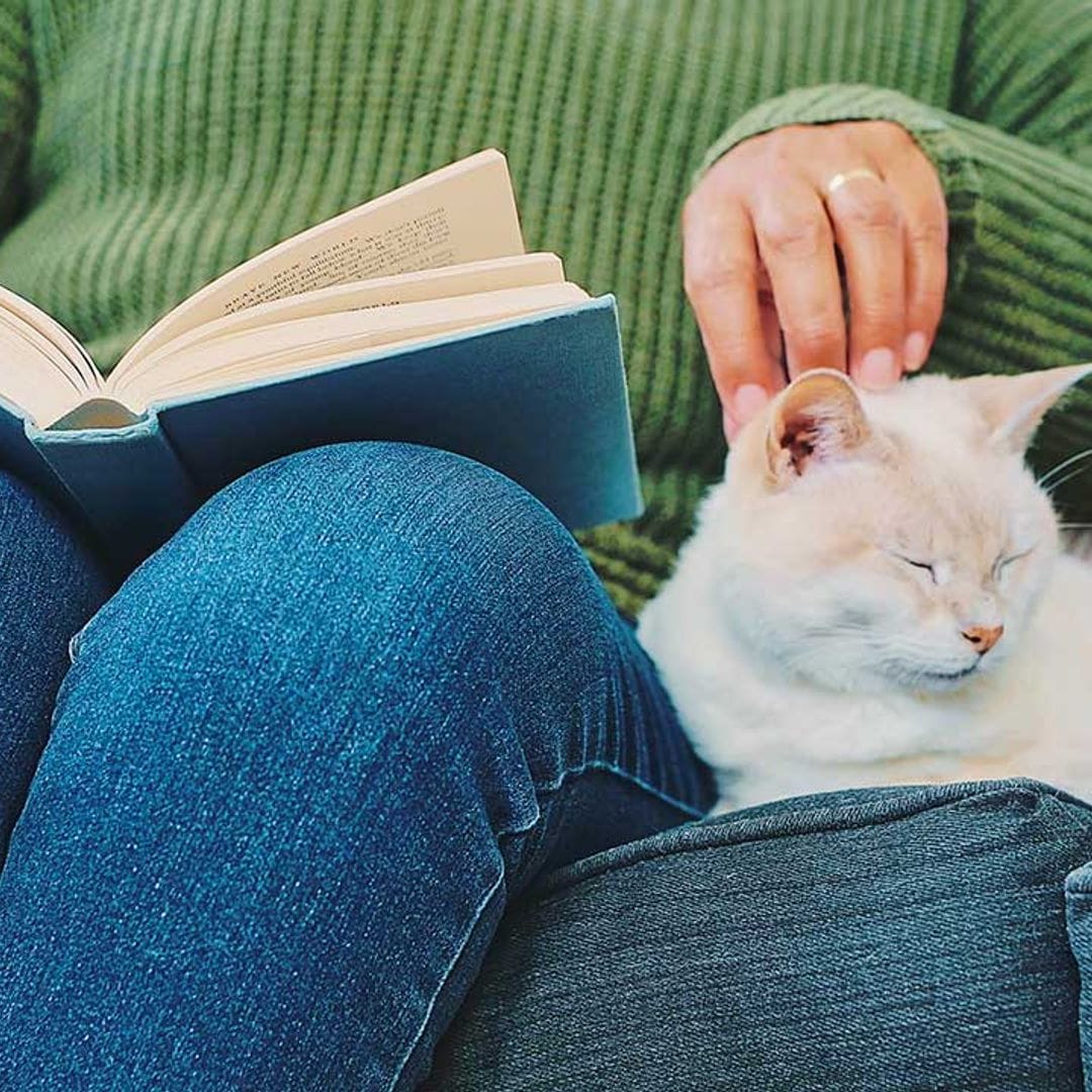 Estos son los libros que como amante de los gatos deberías leer