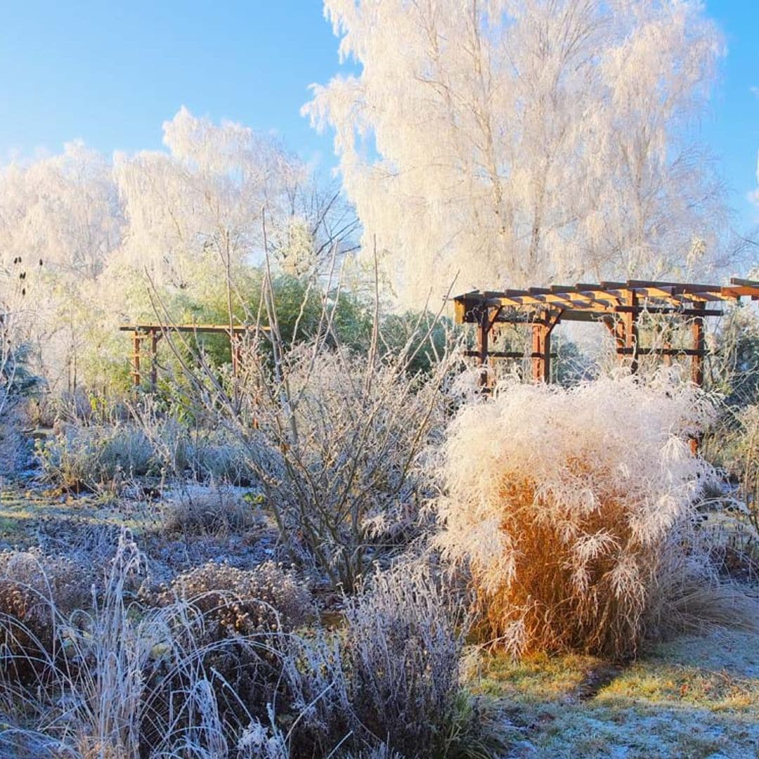 tareas jardin invierno hola decoracion