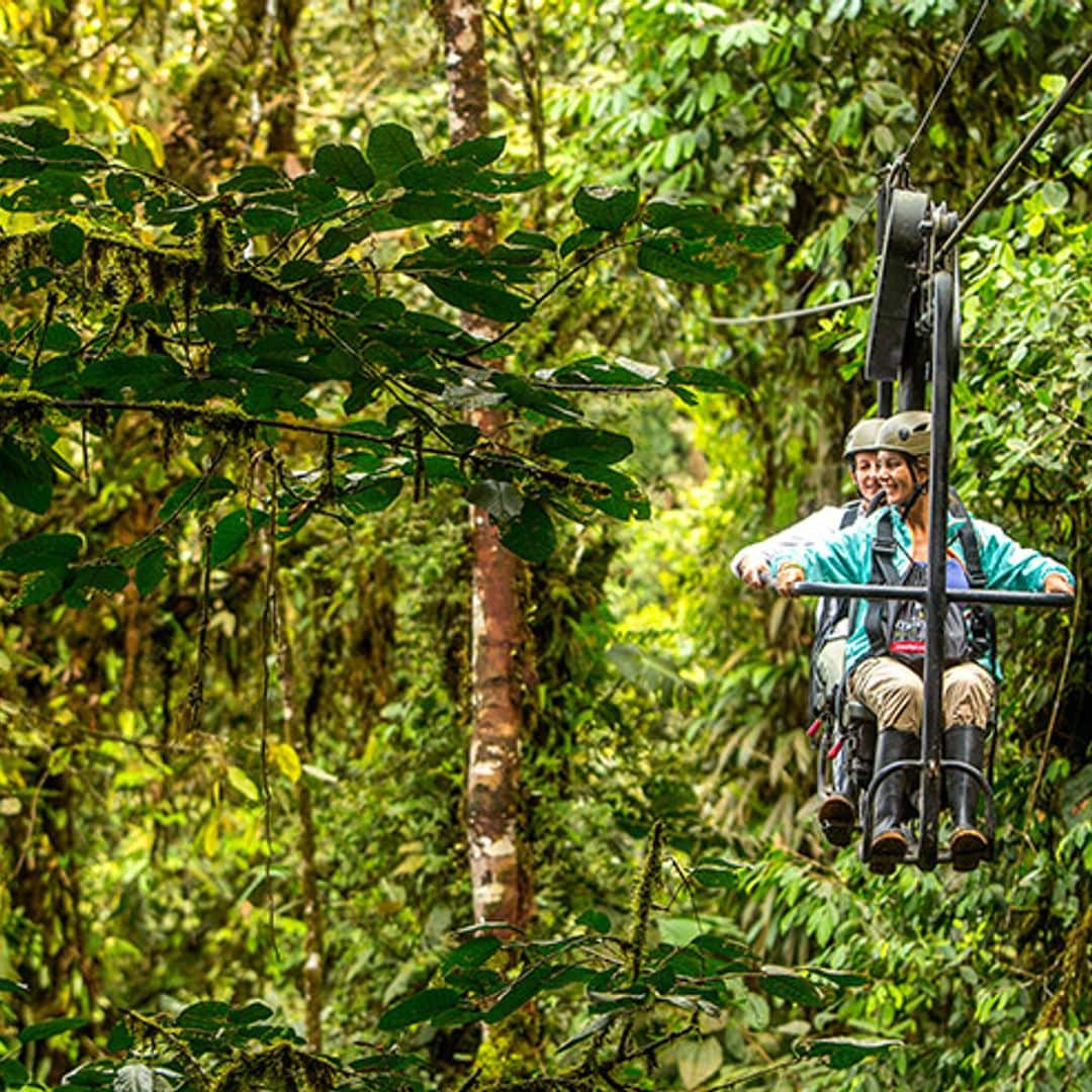 El bosque de Ecuador que se descubre en bici por la copa de los árboles