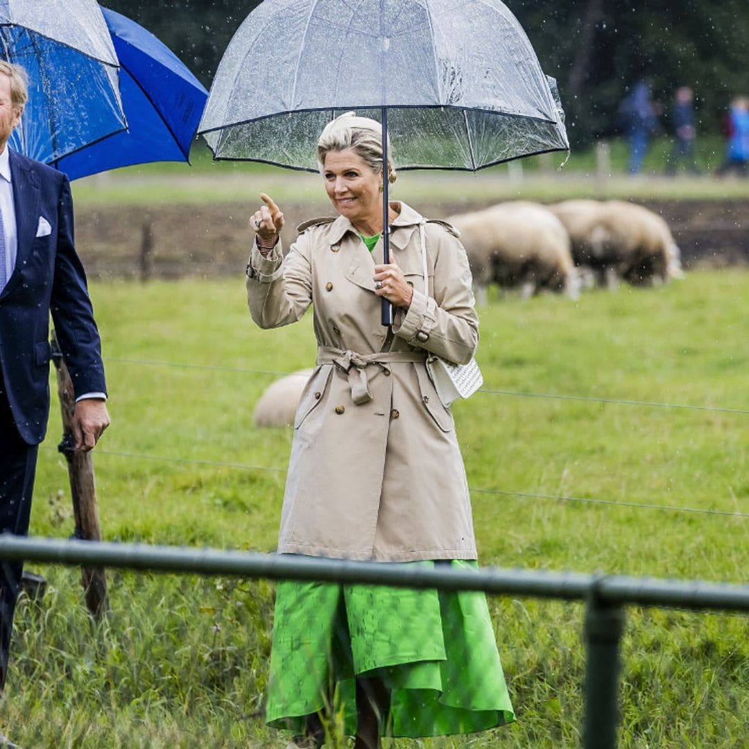 Las imágenes más curiosas de la reina Máxima con tocado y tacones en el campo rodeada de ovejas