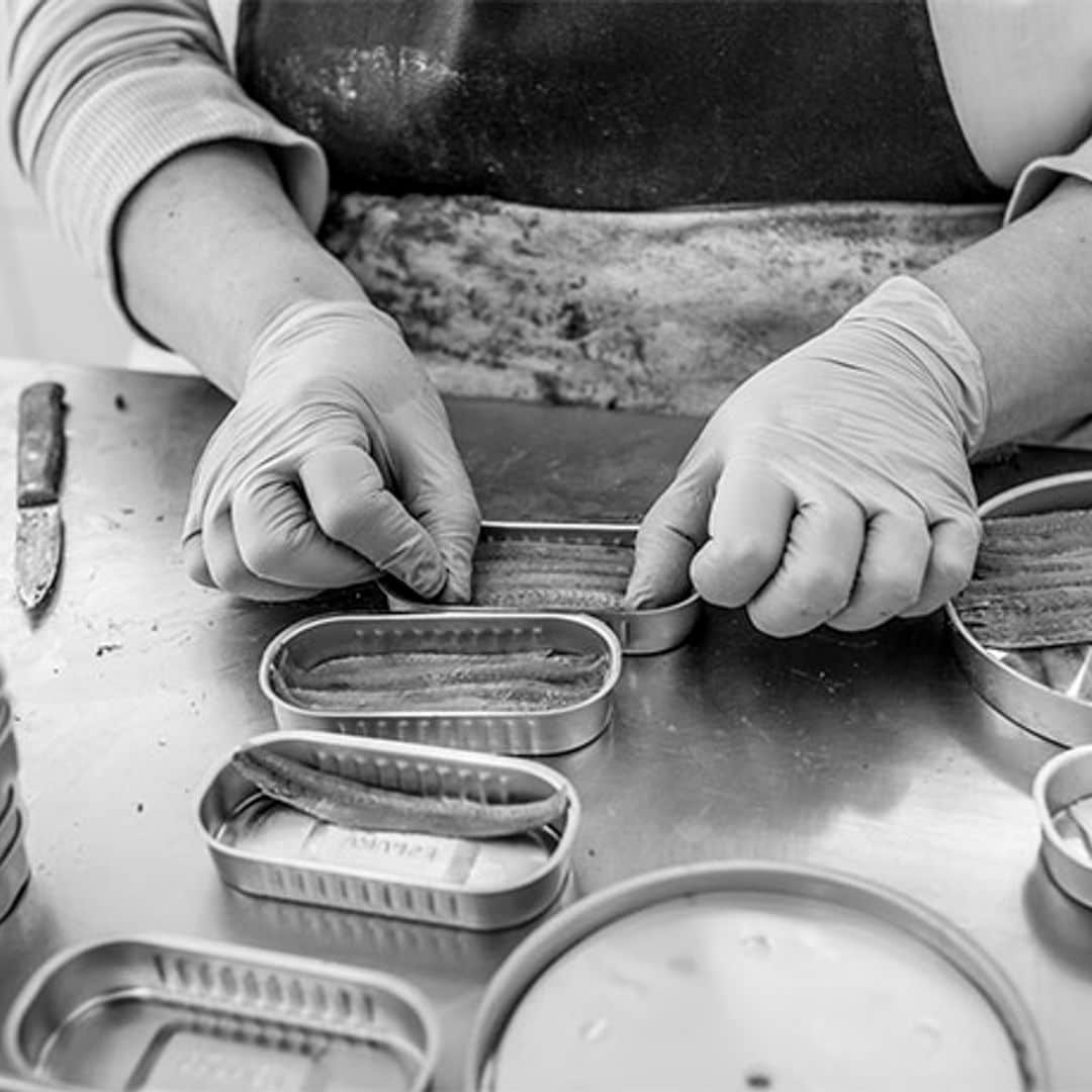 conservas latas bonitas gallegas anchoas