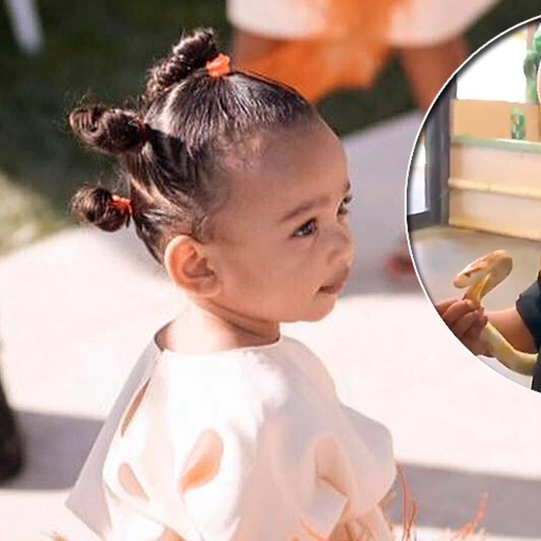 ¡Pequeña valiente! Con solo un año, la hija de Kim Kardashian juega con serpientes