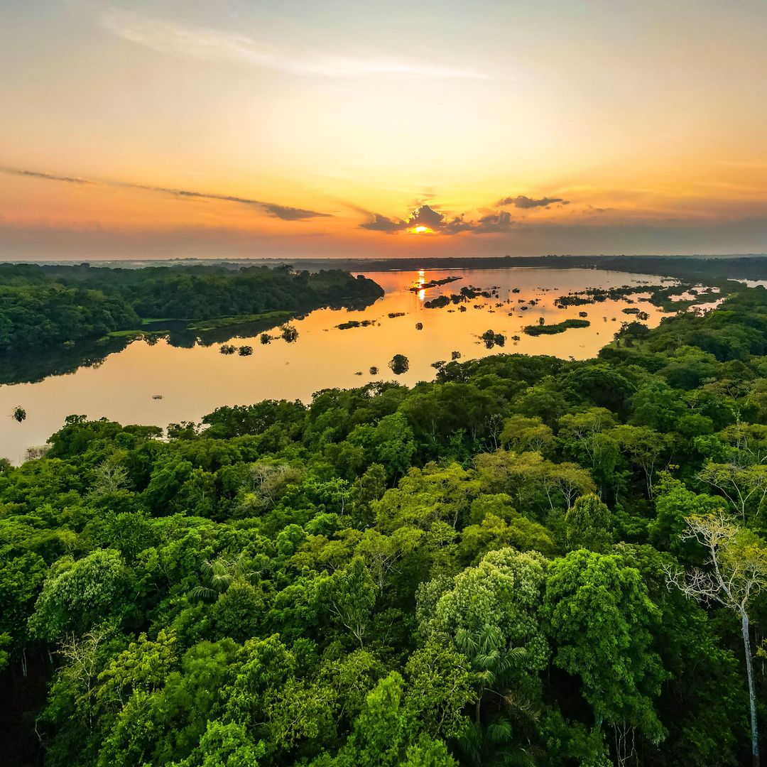 Atardecer en la selva amazónica.