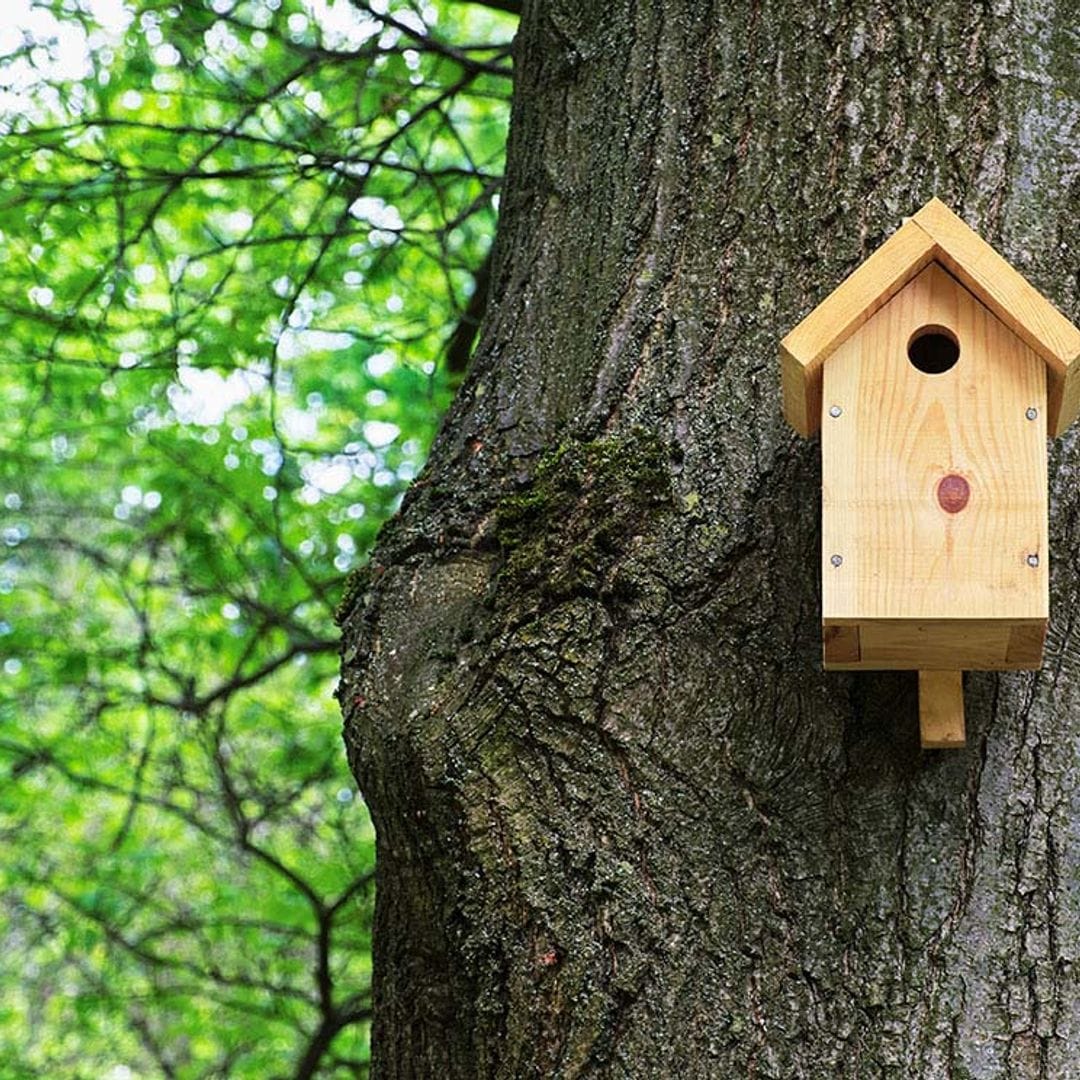 Así puedes construir un 'hotel de pájaros' para decorar tu jardín