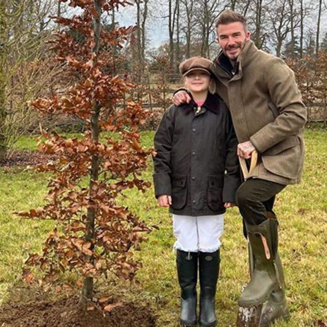 Así es la casita que Harper Beckham, de 12 años, tiene dentro de la mansión de sus padres en la campiña inglesa