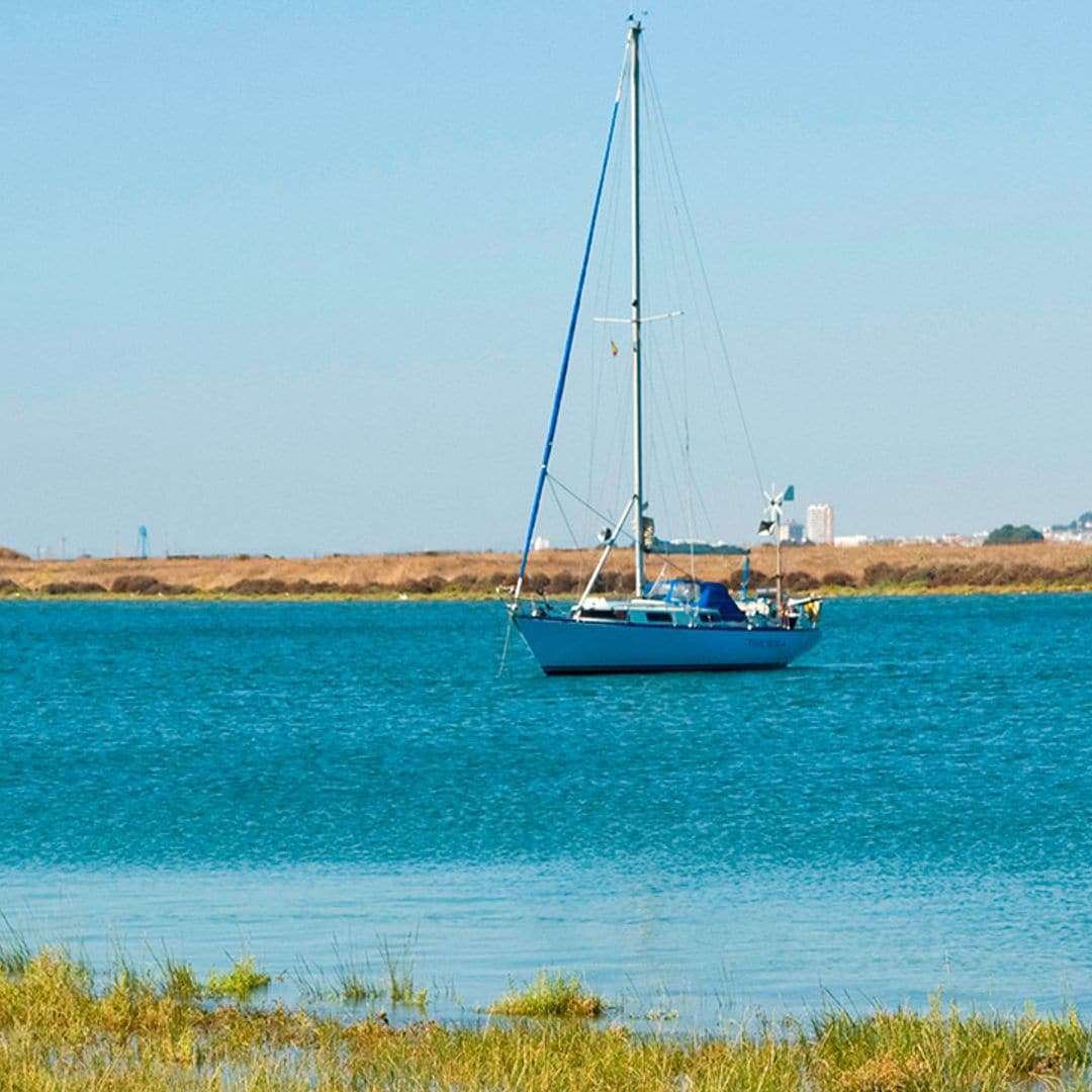 Las marismas del Odiel, un tesoro natural entre Huelva y Punta Umbría