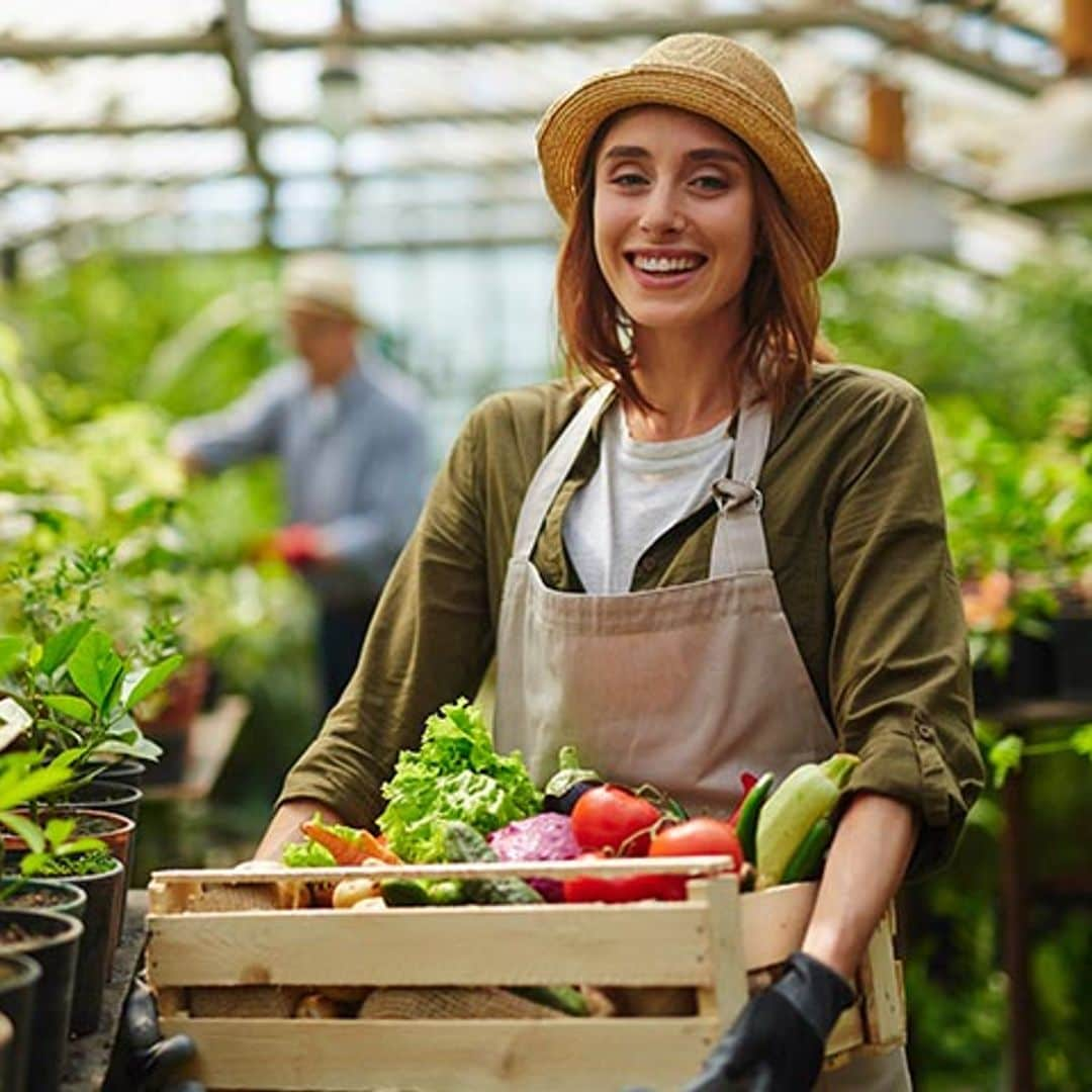 Verduras que te ayudan a bajar el colesterol