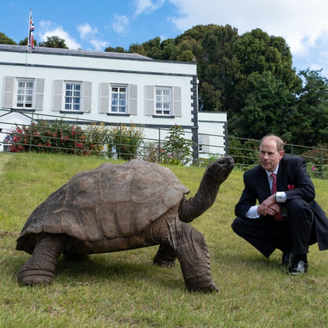 El momentazo del príncipe Eduardo con una tortuga gigante que ya ha conocido a tres generaciones de los Windsor