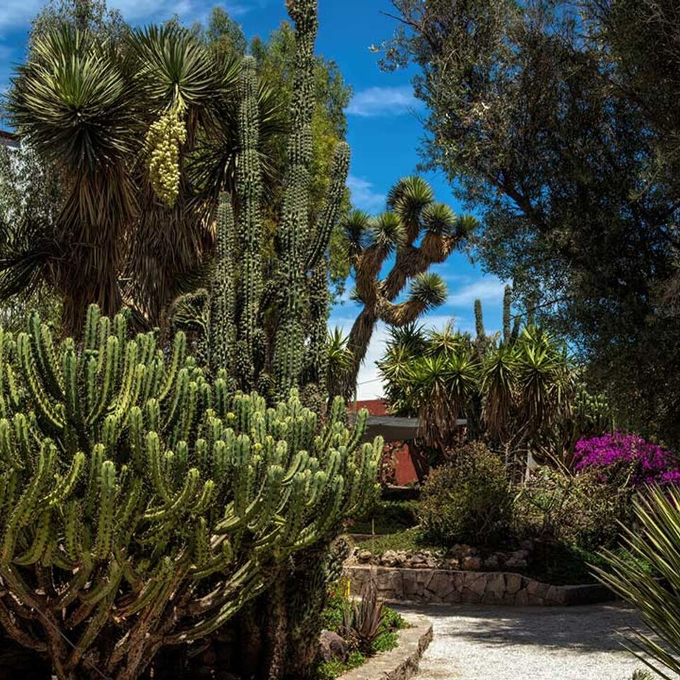 La Paisajista Marta Puig Ofrece Las Claves Para Diseñar Un Jardín Que