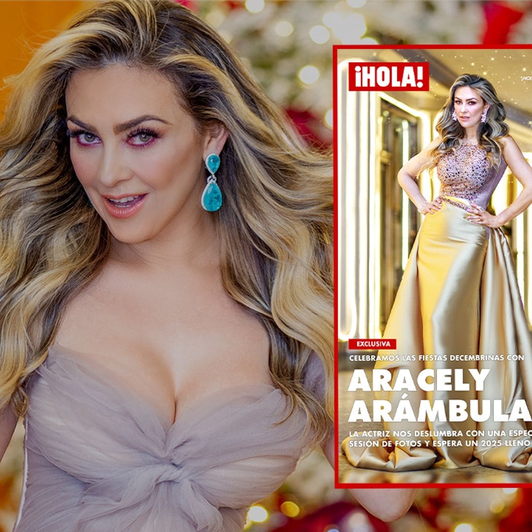 Aracely Arámbula nos deslumbra en su posado más espectacular de fin de año [EXCLUSIVA]