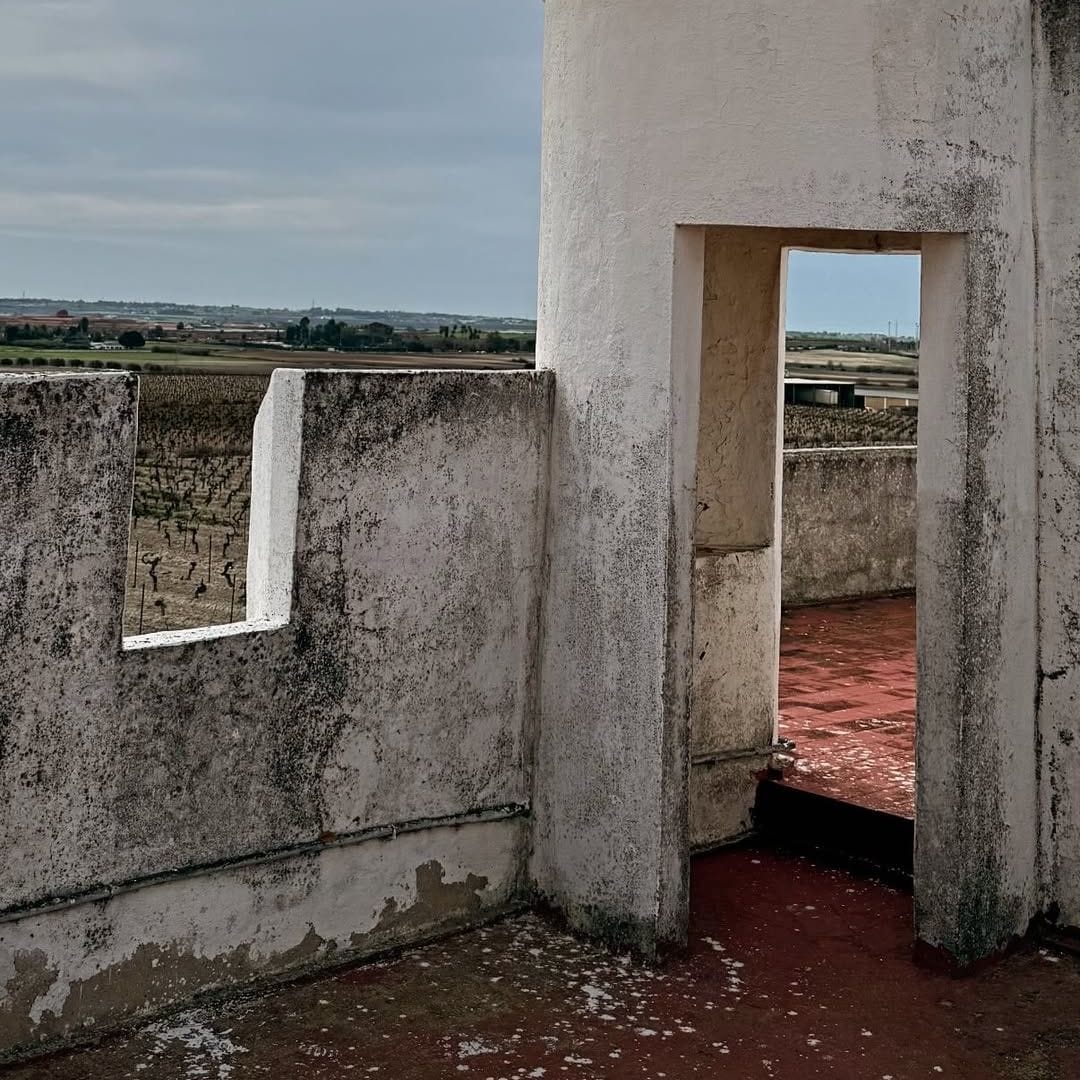 Conociendo la historia de la industria familiar del vino de Jerez