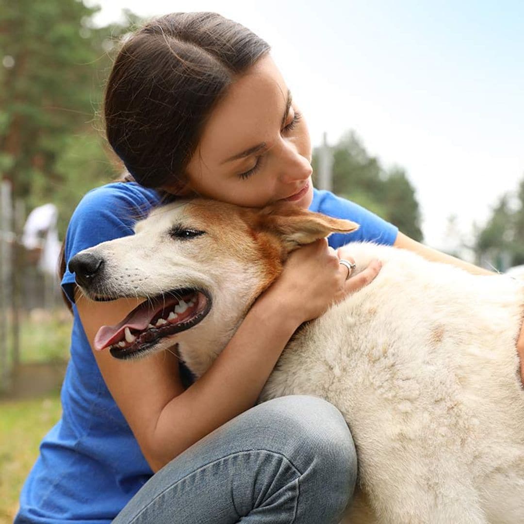 Abrazar a tu perro te produce calma y bienestar (y existe un motivo científico)