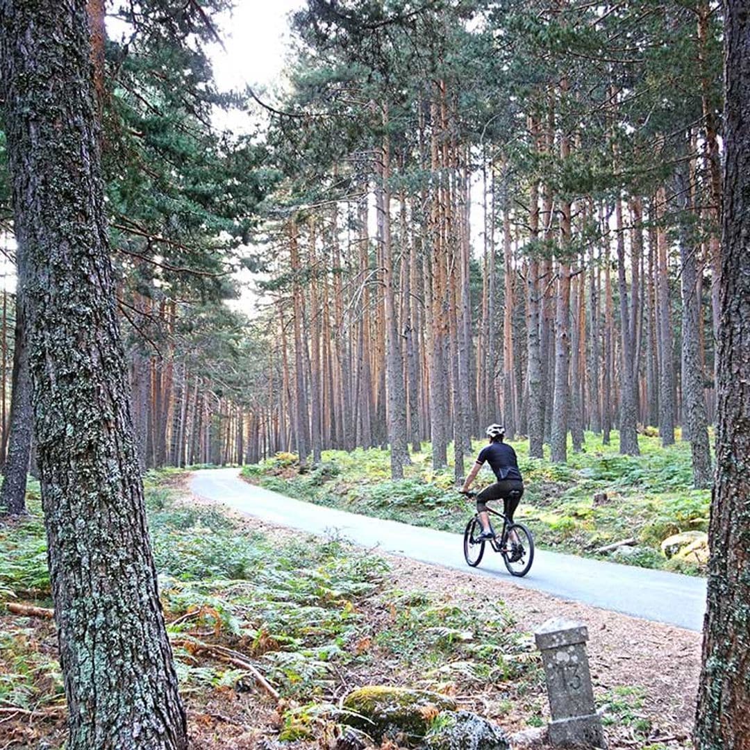 Una ruta en bici sencilla para descubrir el bonito pinar de Valsaín