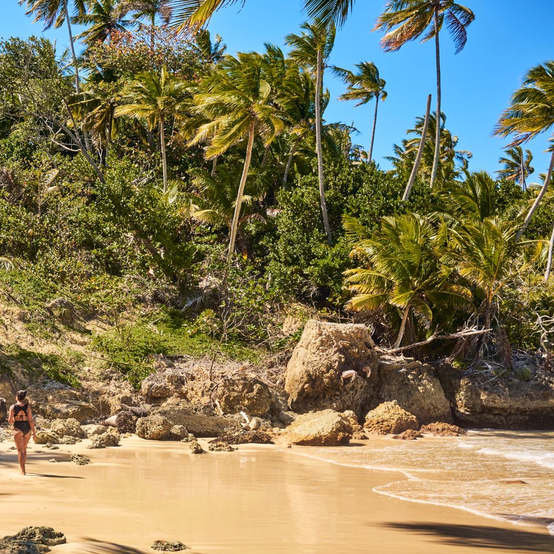 Río San Juan, aquí están los arenales más impresionantes y desconocidos del Caribe