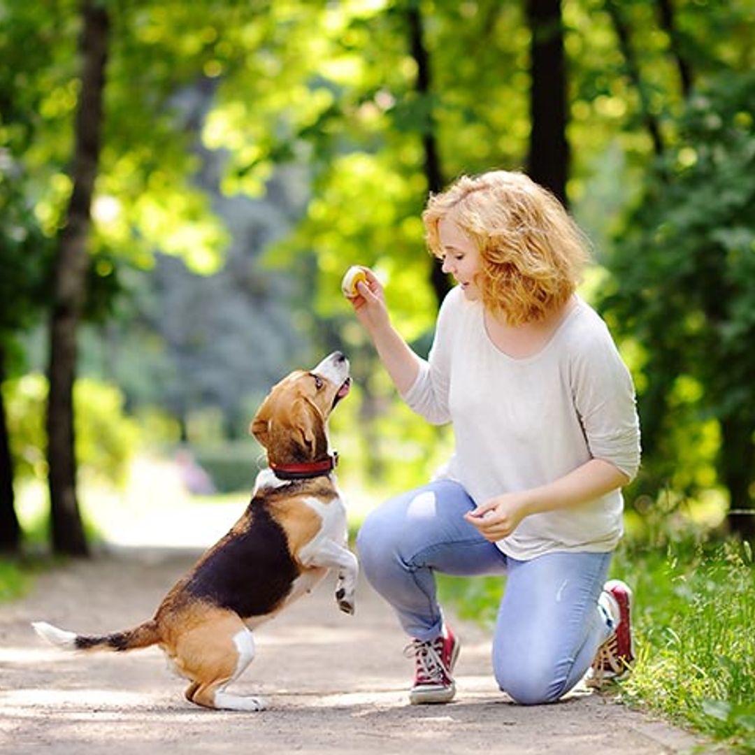 Si hablas a tu perro como si fuera un niño, te hará más caso