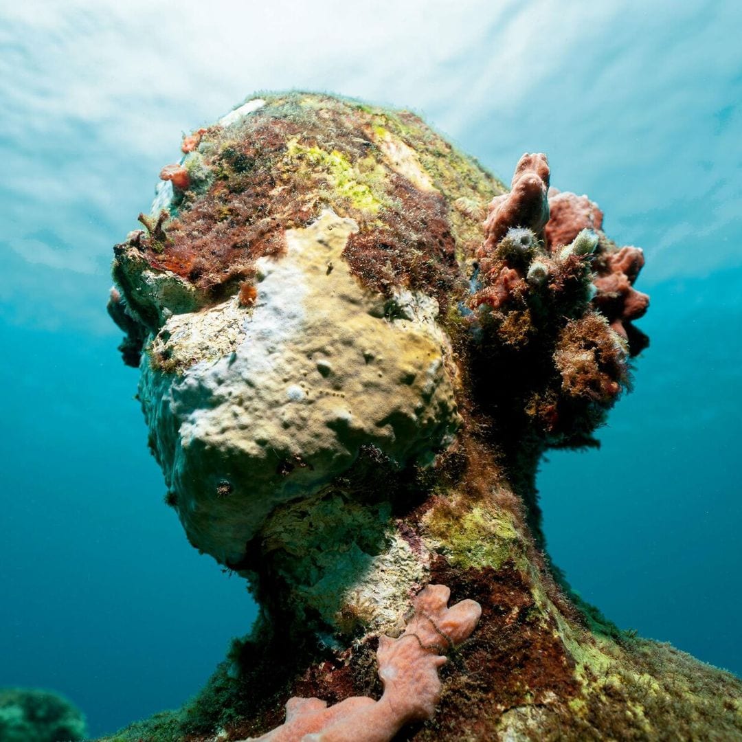 En imágenes: un museo único, repleto de obras de arte en las profundidades del mar Caribe