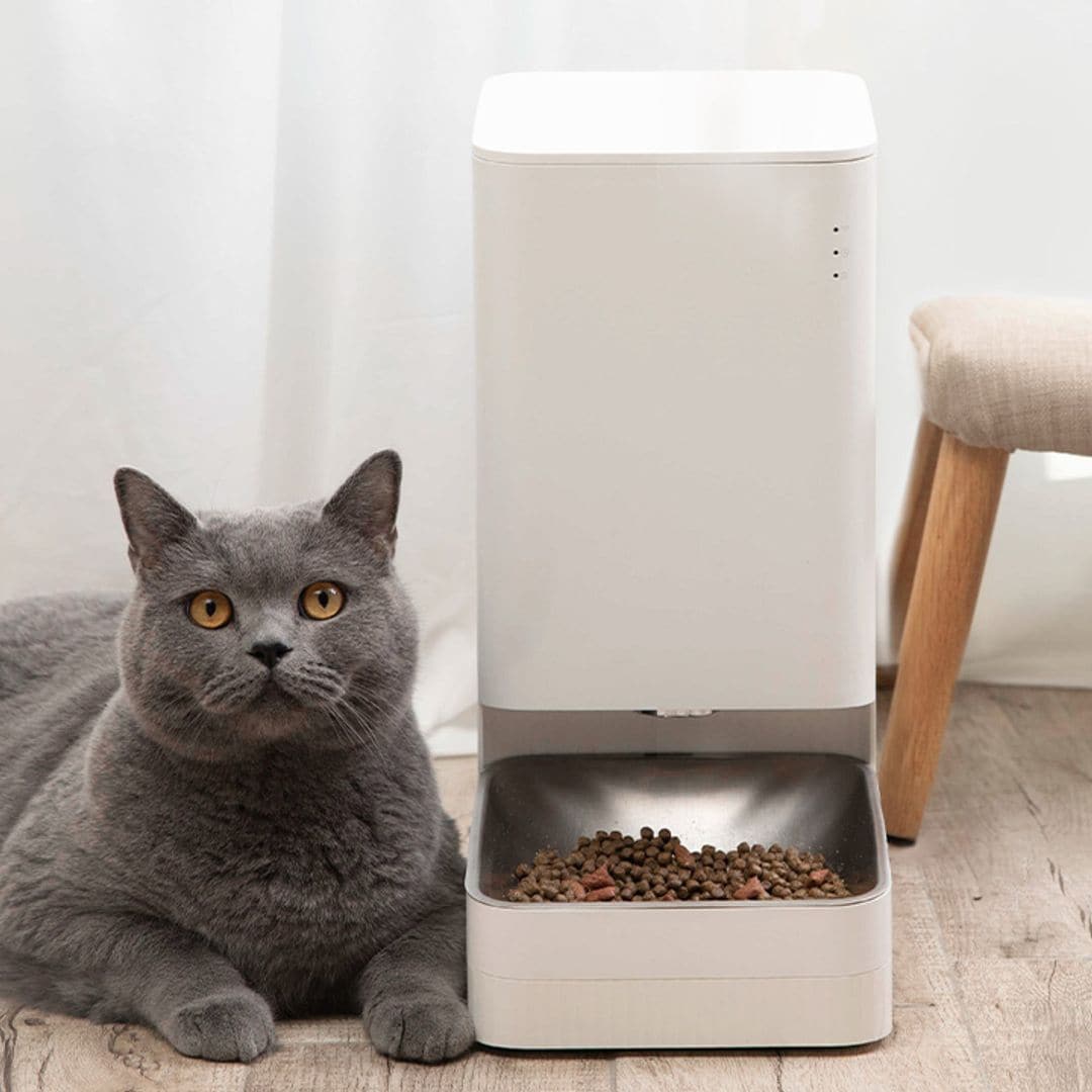 Descubre el comedero automático para gatos que facilitará su alimentación