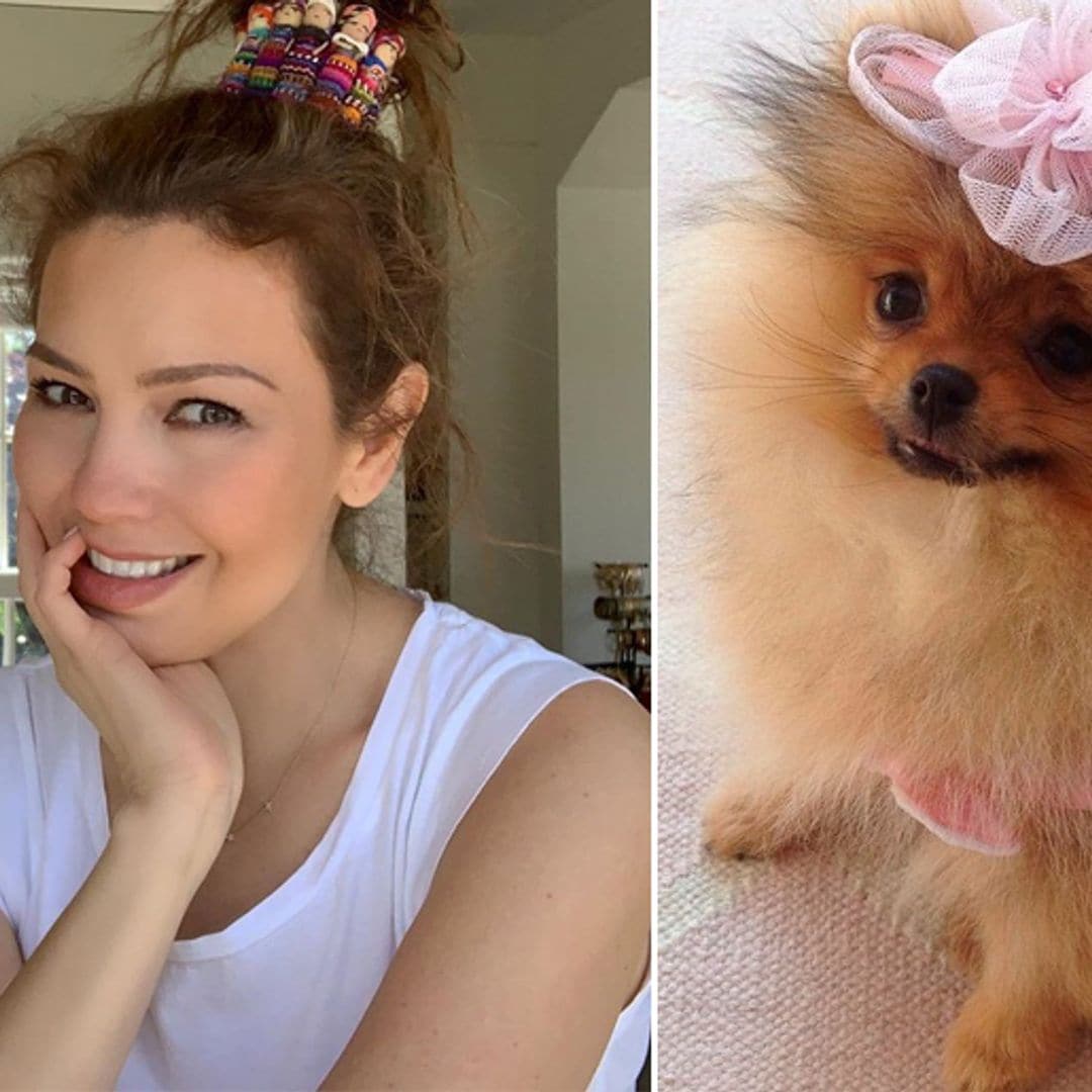 Thalía deja todo, hasta el ejercicio, por mimar a su perrita 'Amorcita Love'