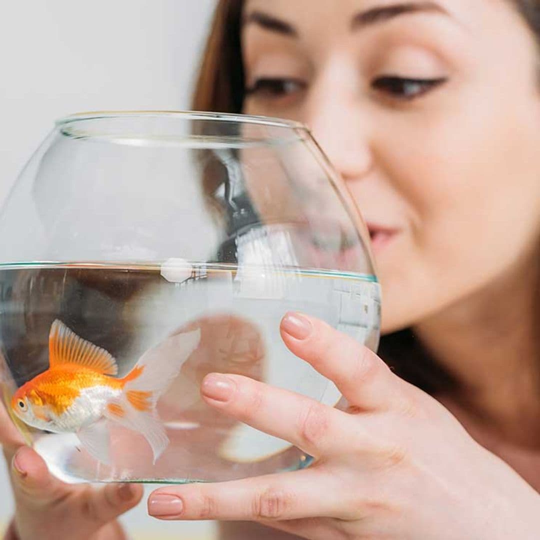 ¿Qué diferencia hay entre peces de agua dulce y de agua salada?